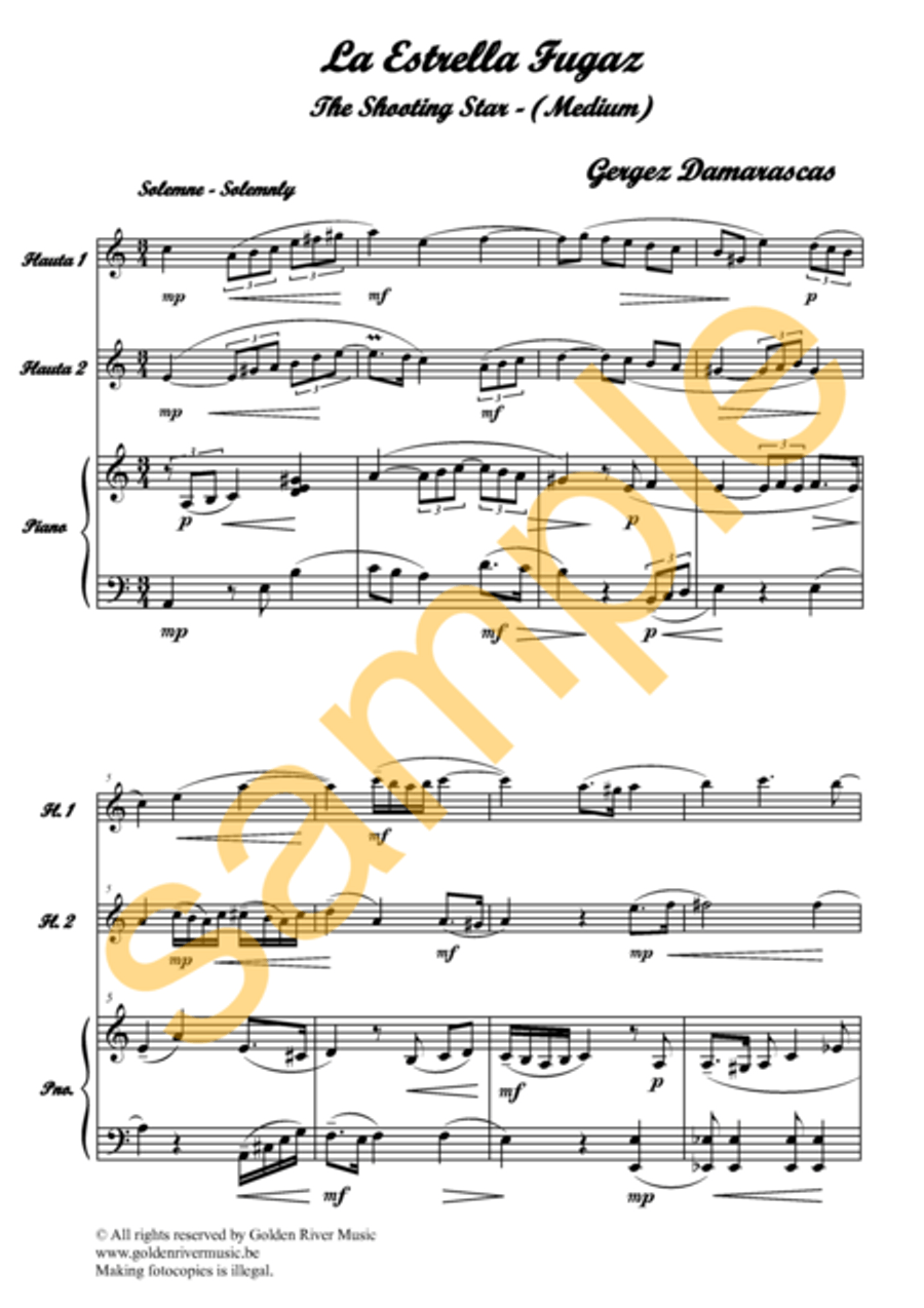 La Estrella Fugaz / Shooting Star for 2 flutes Flute Duet scores gallery preview page 2