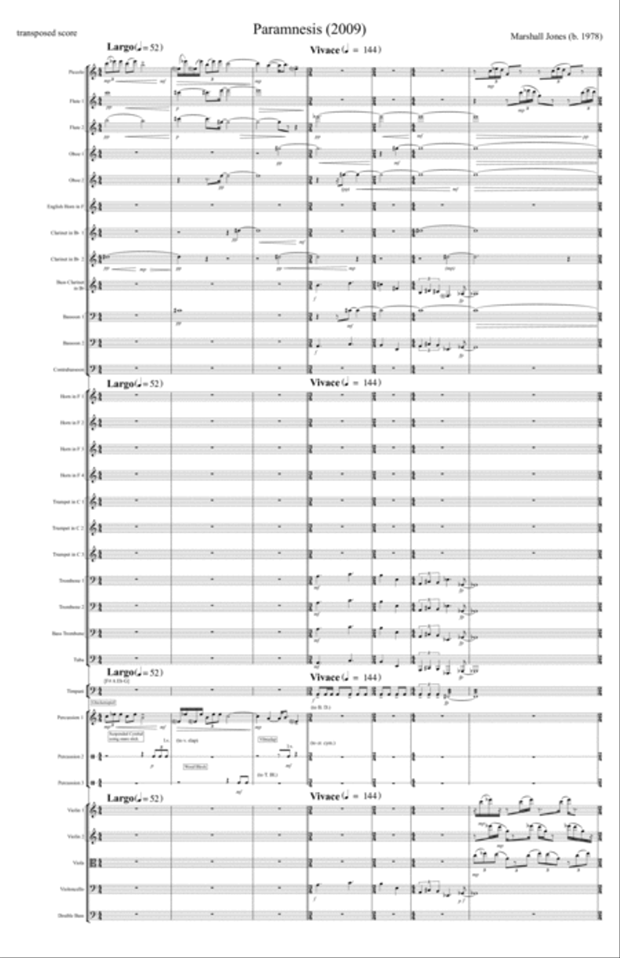 Paramnesis String Orchestra scores gallery preview page 3
