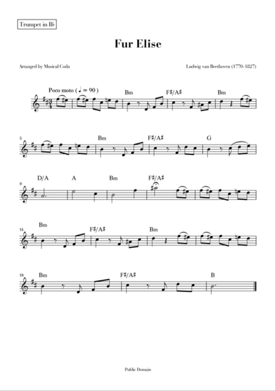 Fur Elise - Trumpet & Horn Brass Duet scores gallery preview page 2