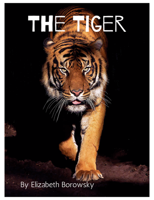 Book cover for The Tiger