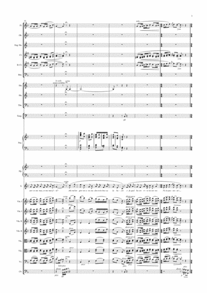 G.Puccini La Rondine "Chi il bel sogno di Doretta" image number null