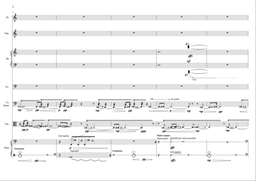 Carmen Fizzarotti: IL RARO VERIFICARSI DEL PREVISTO II (ES-20-115) - Score Only Small Ensemble scores gallery preview page 6