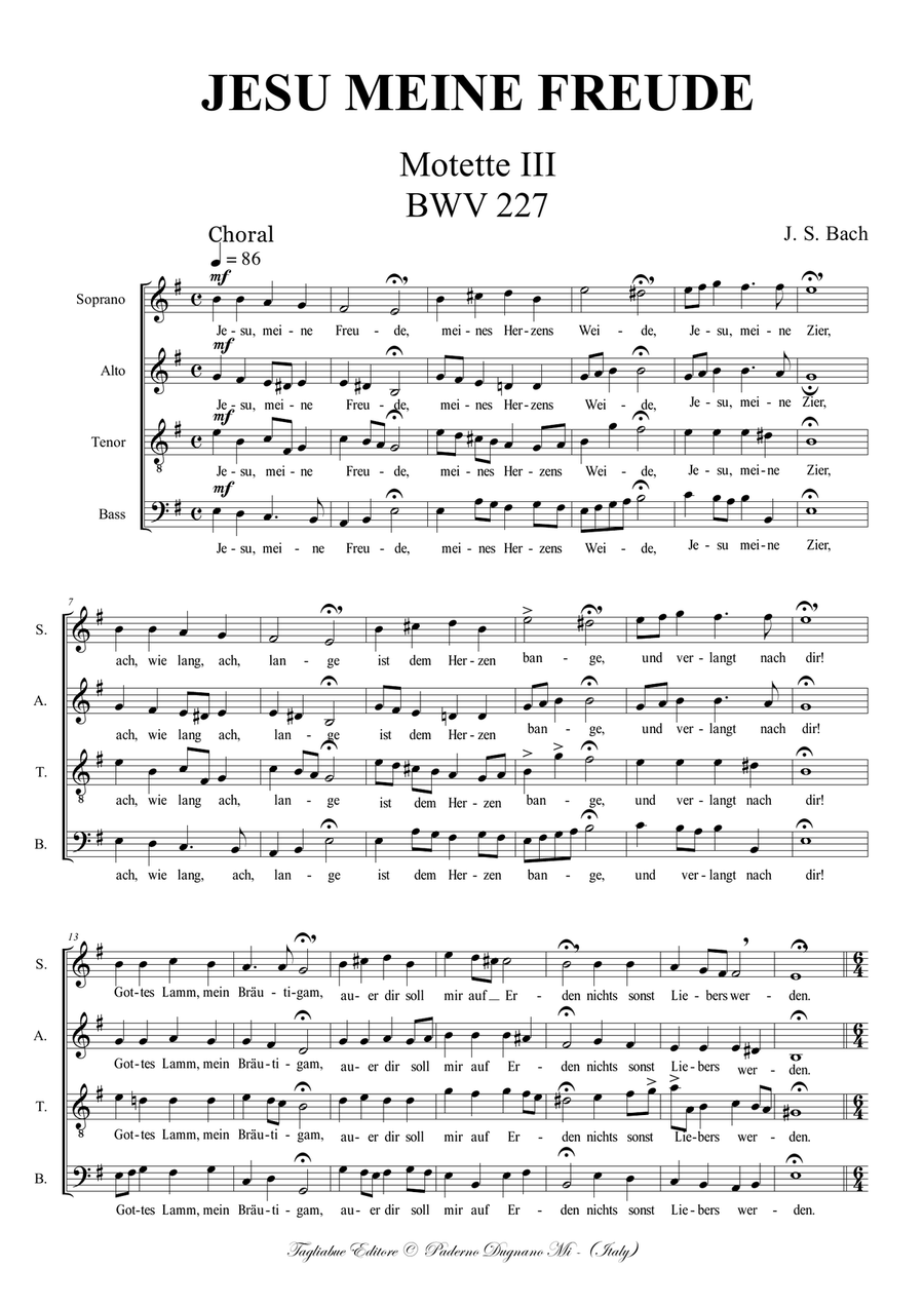 JESU MEINE FREUDE - BWV 227 - Motets 1 to 9 - Score for SATB and SSATB Choir - Score Only Divisi scores gallery preview page 3