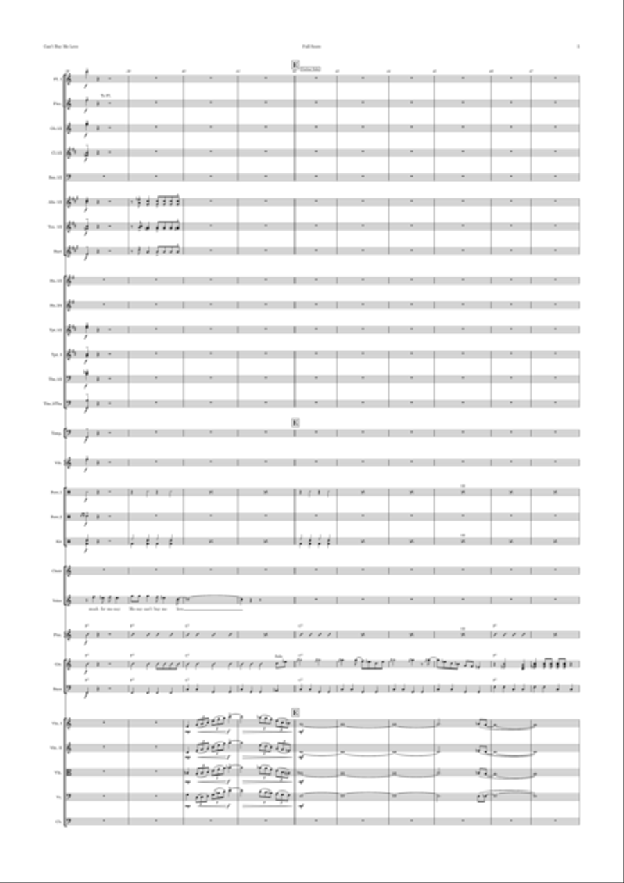 Can't Buy Me Love Full Orchestra scores gallery preview page 5
