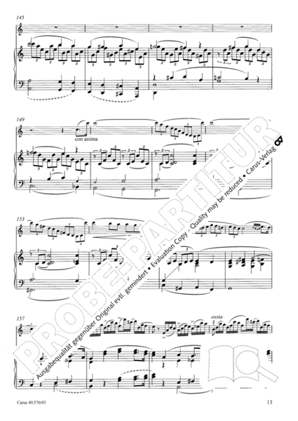 Oboe Concerto in A minor (Concerto per Oboe ed Orchestra in a)