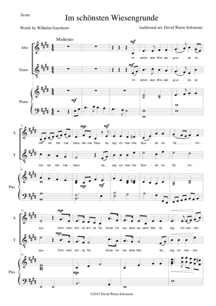 Im schönsten Wiesengrunde for alto, tenor and piano image number null