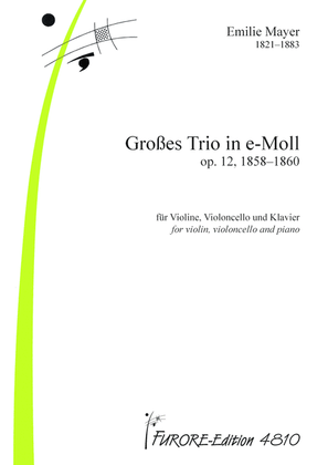 Book cover for Trio in E minor op. 12