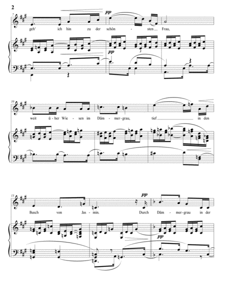 STRAUSS: Traum durch die Dämmerung, Op. 29 no. 1 (transposed to F major)