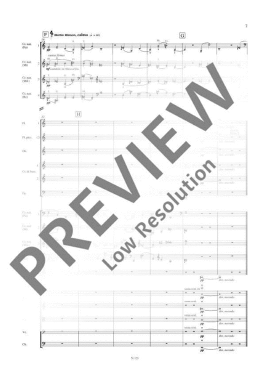 Hamburg Concerto Chamber Orchestra scores gallery preview page 18