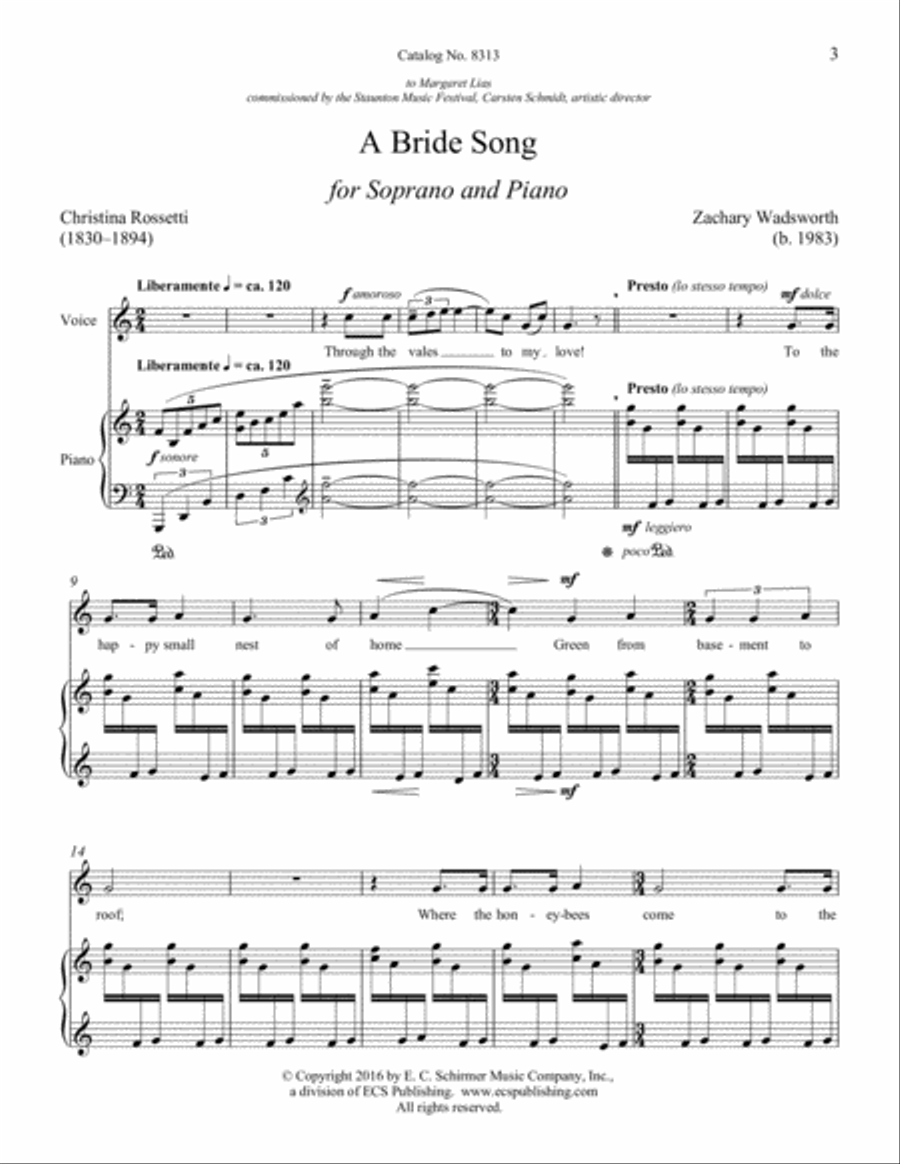 Book cover for A Bride Song