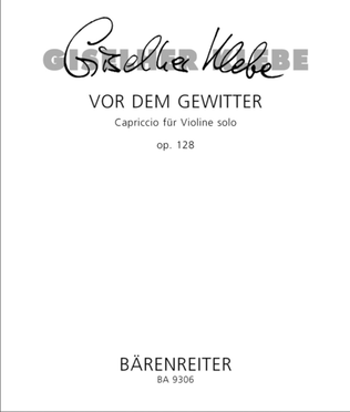 Vor dem Gewitter for Solo Violin op. 128