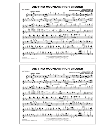 Ain't No Mountain High Enough - Flute/Piccolo