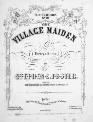 Book cover for The Village Maiden