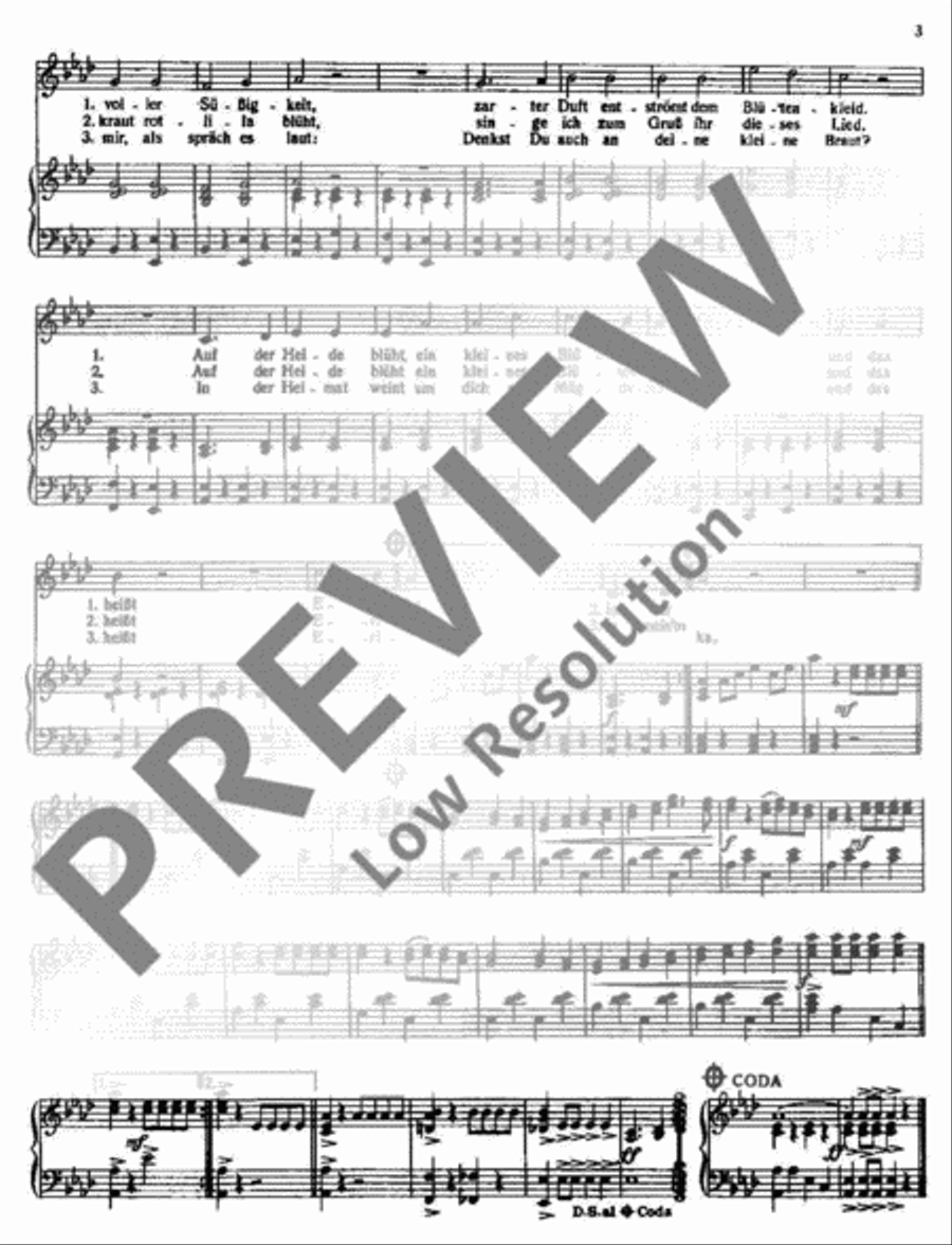 Erika Voice Solo scores gallery preview page 4