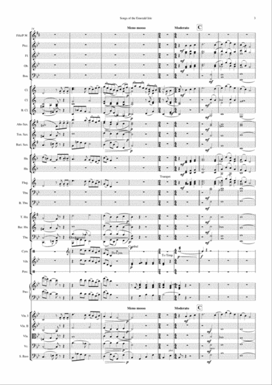 Songs of the Emerald Isle Full Orchestra scores gallery preview page 5