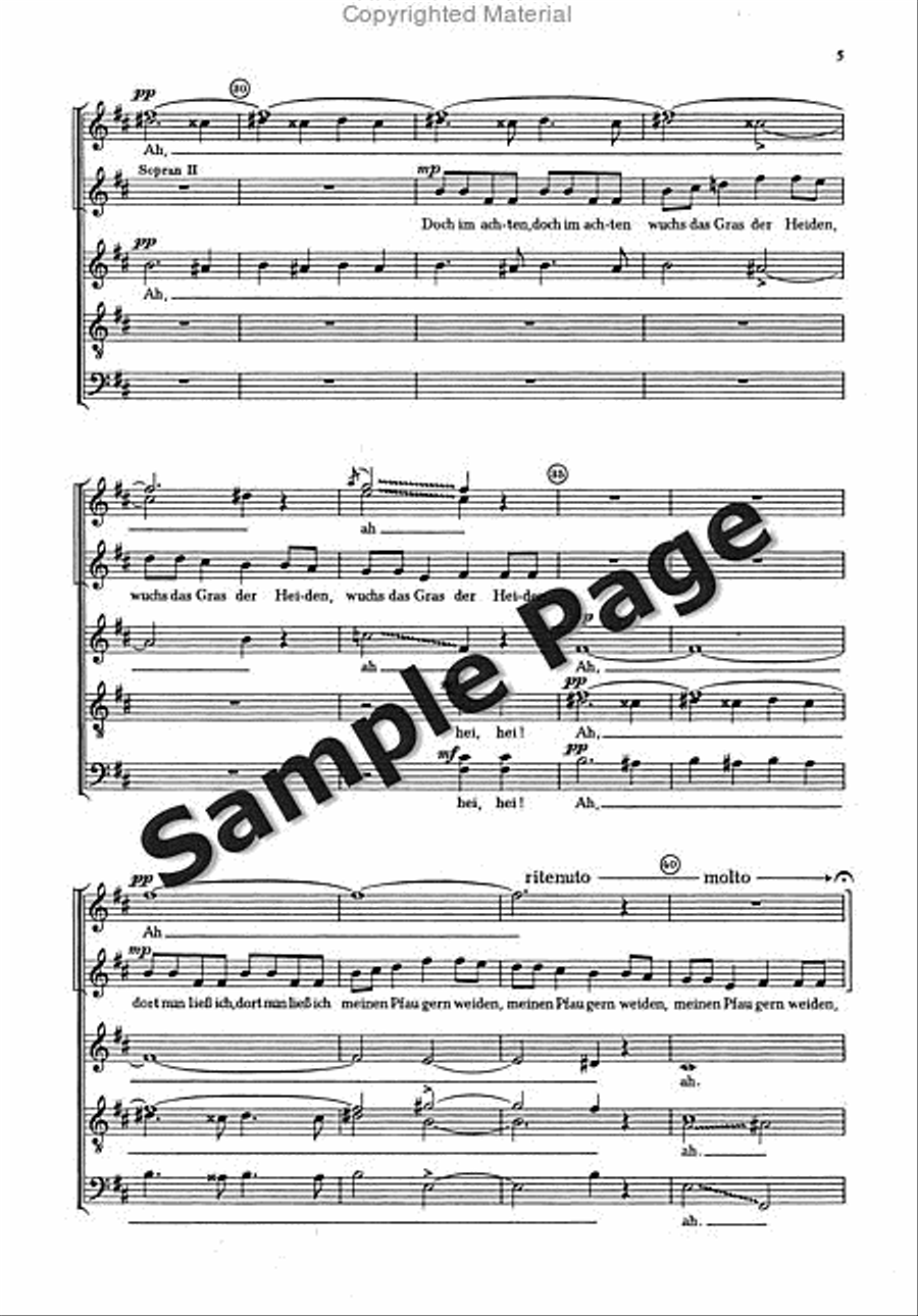Annerle Wo Warst Du SSAATTBB scores gallery preview page 4