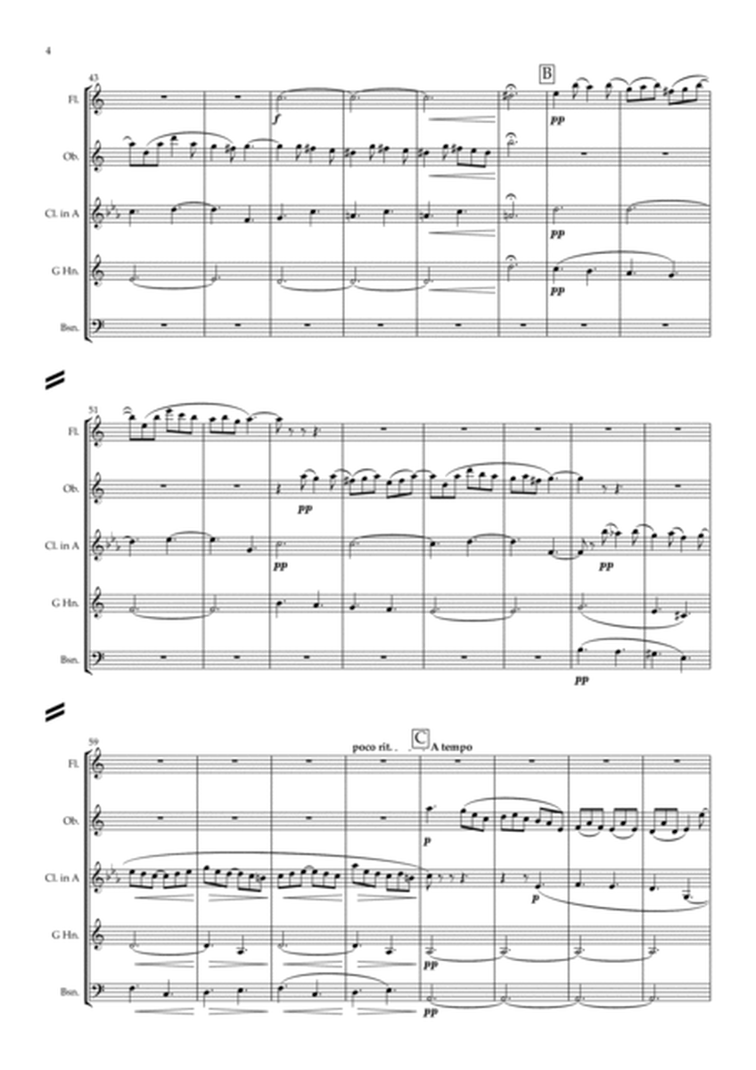 Pierné: Album pour mes Petits Amis Op.14 (Complete) - wind quintet image number null
