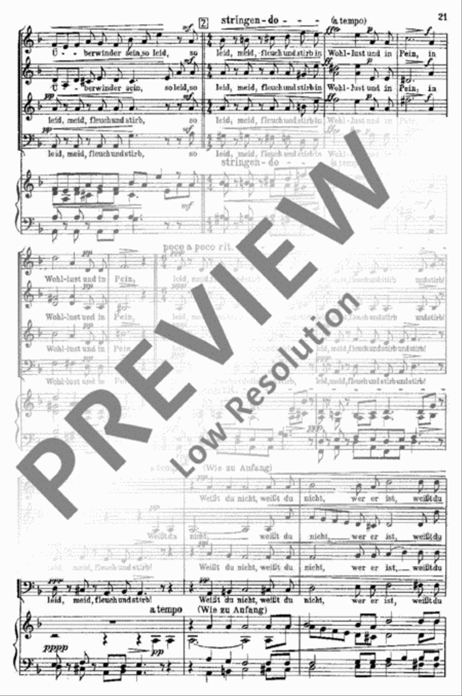 Eine deutsche Singmesse 4-Part scores gallery preview page 21