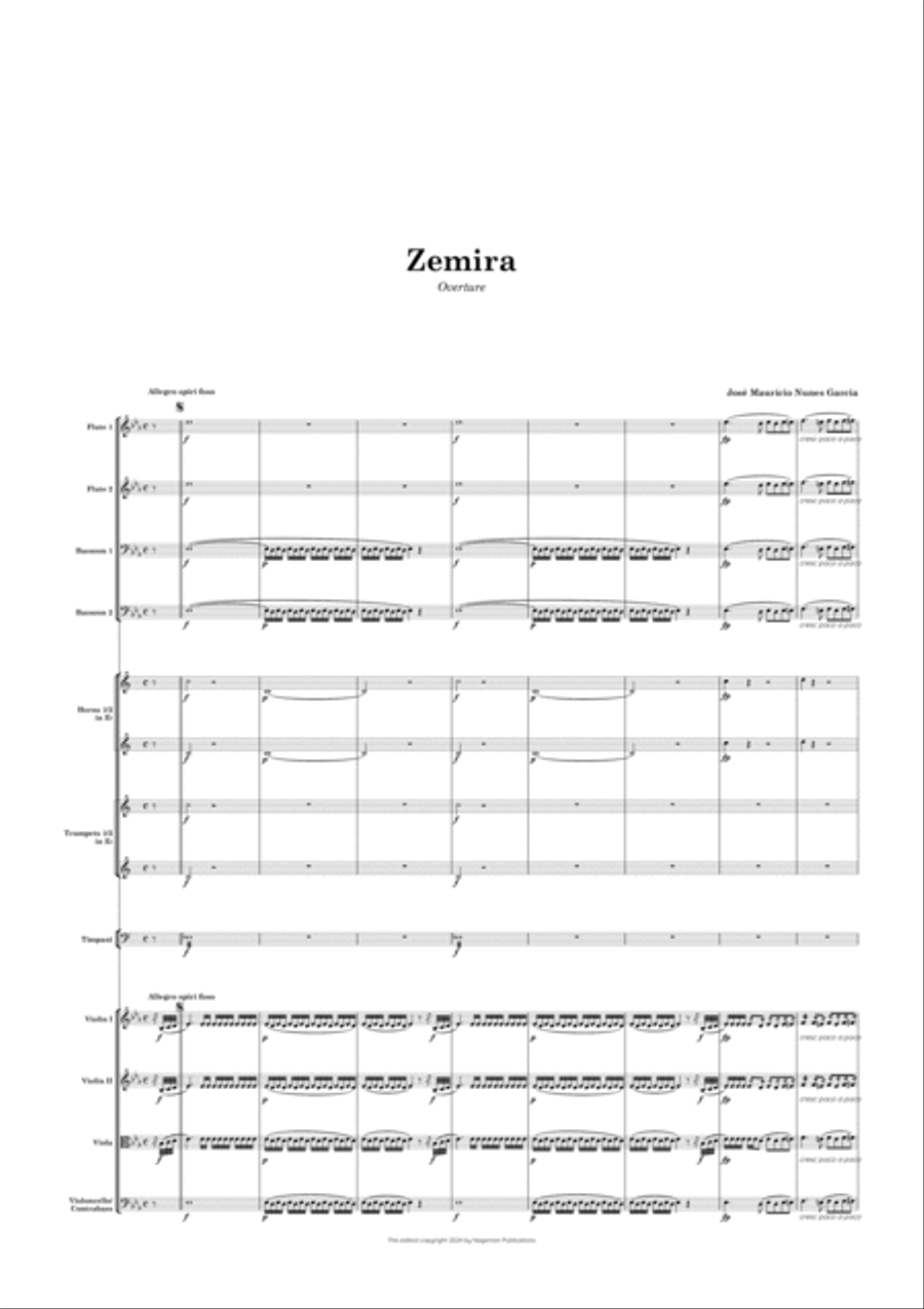 Zemira Chamber Orchestra scores gallery preview page 3