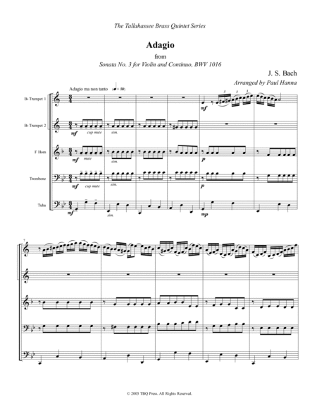 Adagio from Sonata No. 3 for Violin and Continuo, BWV 1016