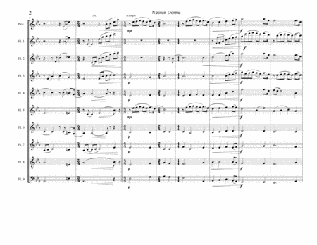 Nessun Dorma by Puccini for flute choir / flute ensemble image number null