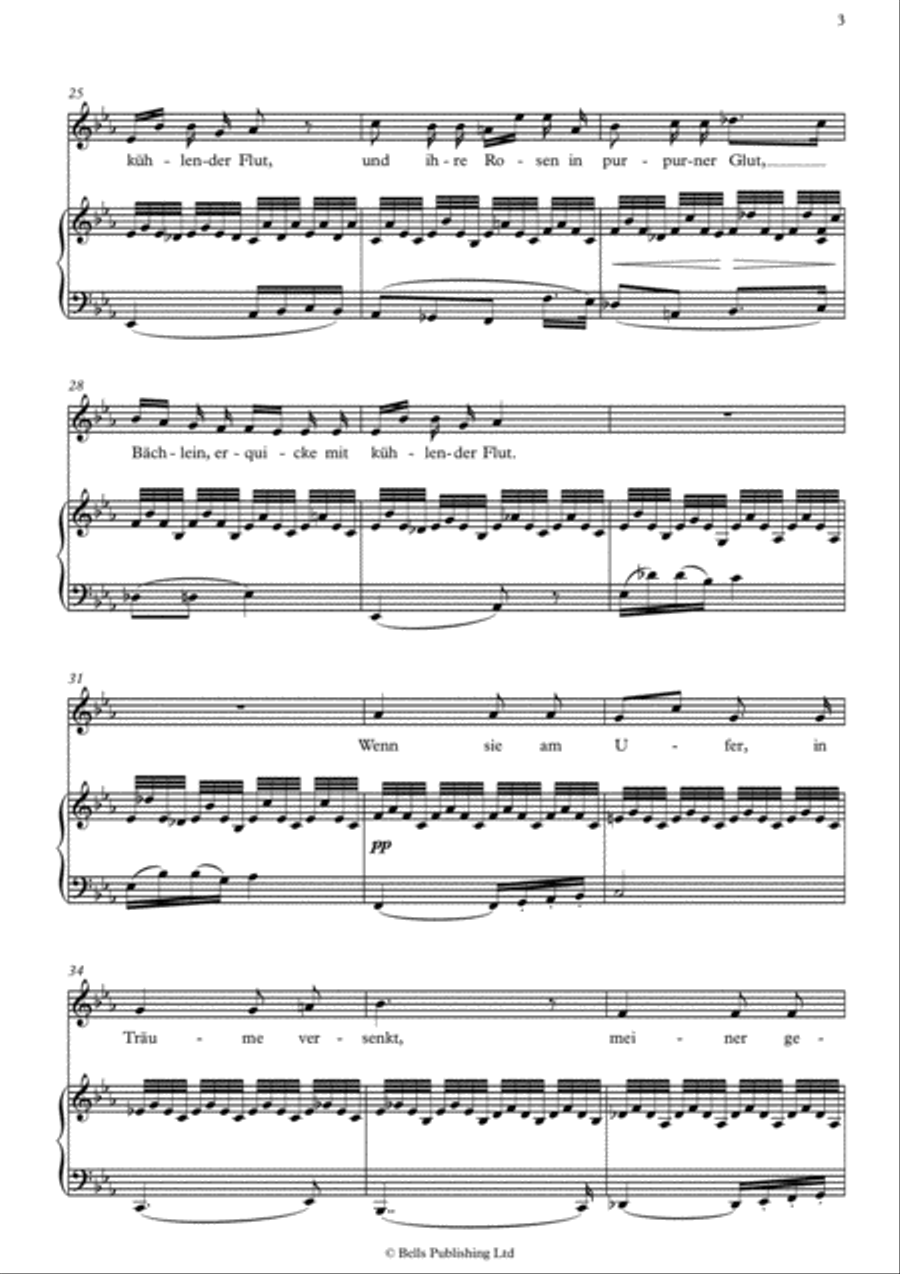 Schwanengesang, D. 957 Voice Solo scores gallery preview page 4