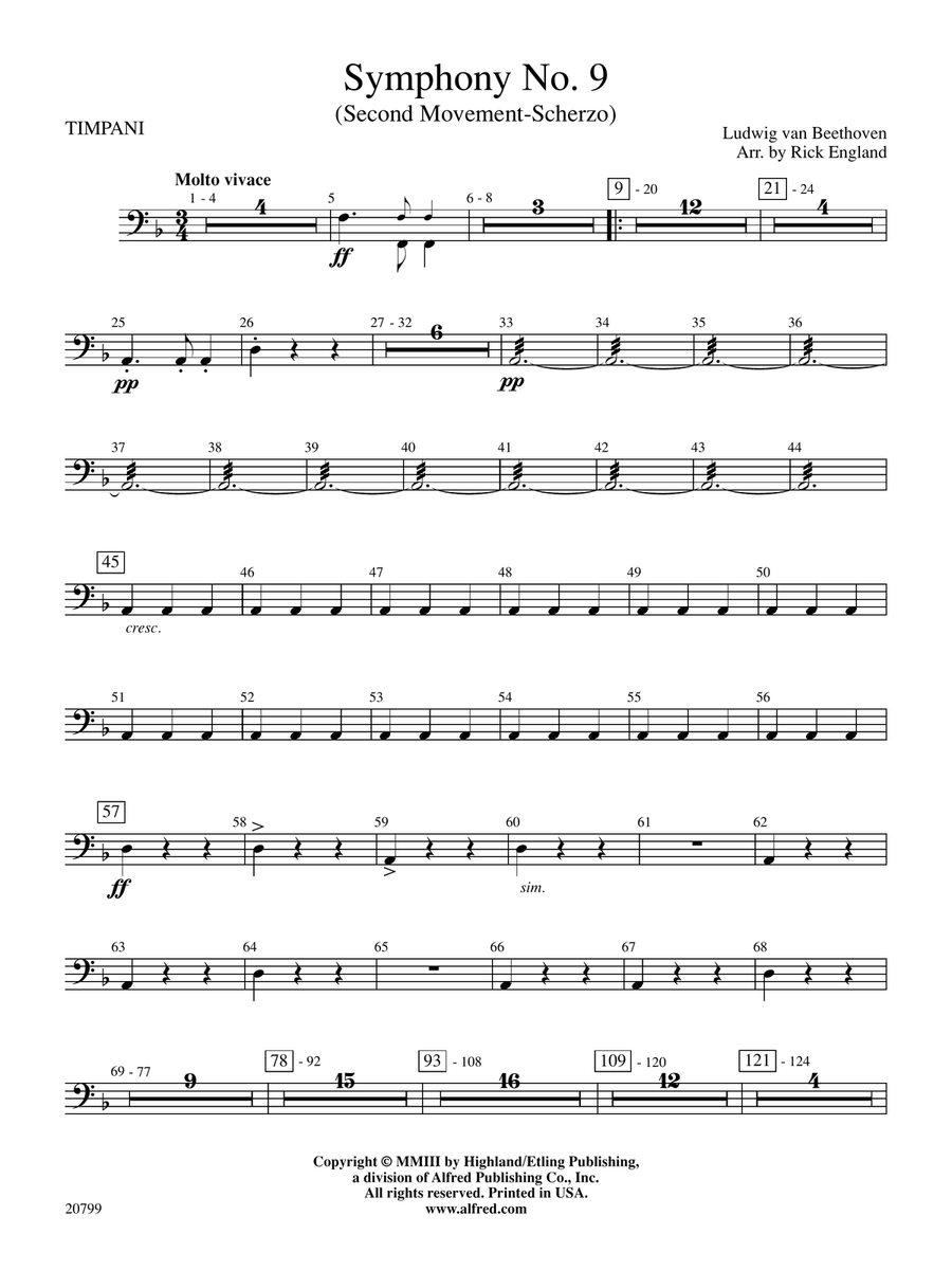Symphony No. 9 (2nd Movement): Timpani