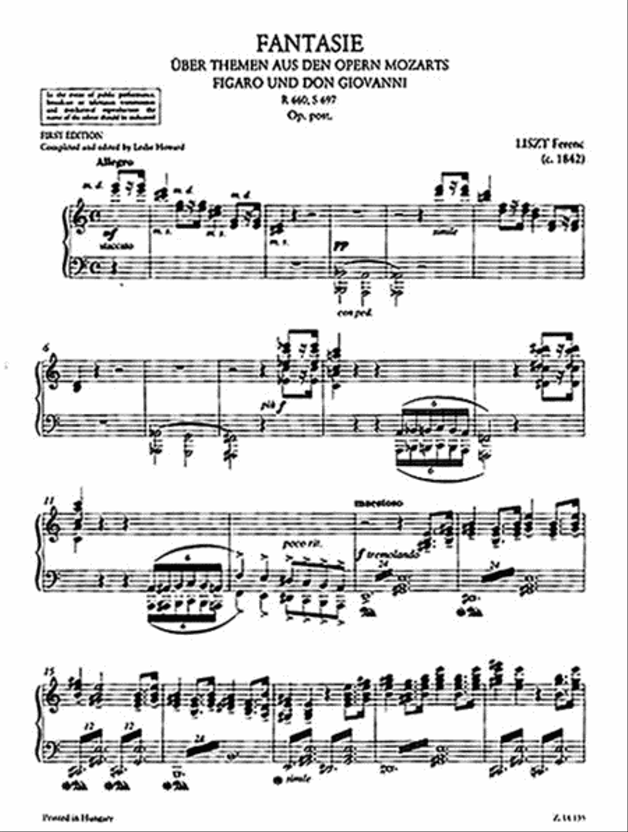 Fantasy on Themes from “Figero” and “Don Giovanni” by Mozart Piano Solo scores gallery preview page 2