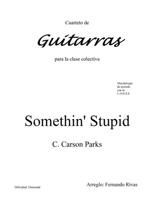 Book cover for Algo estúpido