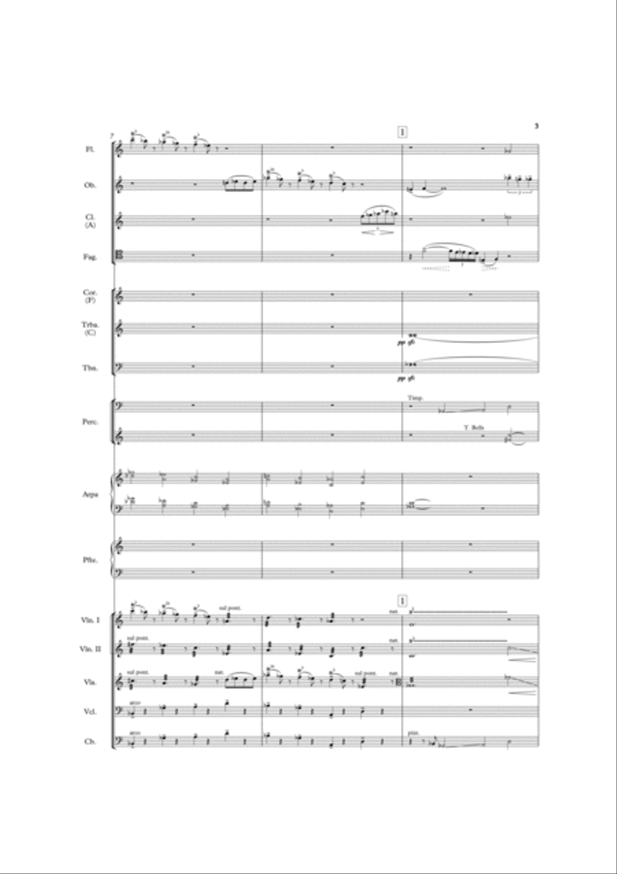 The Bear Chamber Orchestra scores gallery preview page 4