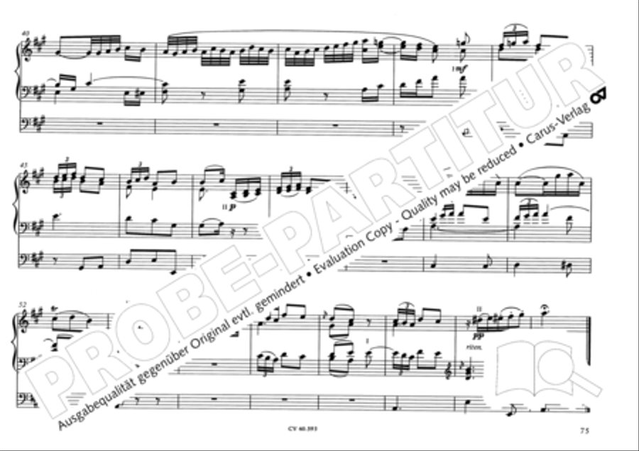 Free Organ Music from the Romantic Period, Vol. I (Freie Orgelmusik der Romantik, Band I) Organ scores gallery preview page 80