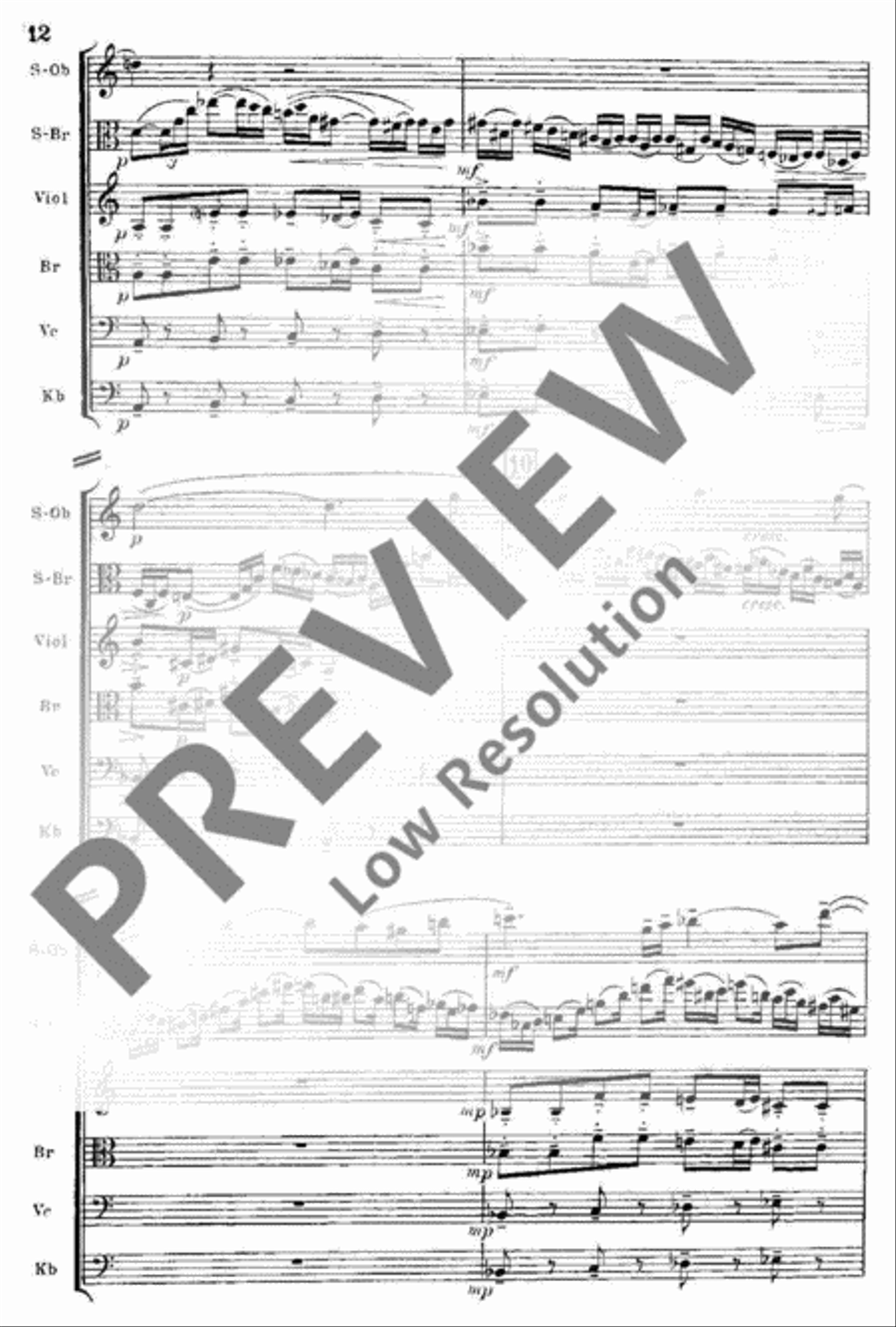 Spielmusik String Orchestra scores gallery preview page 13