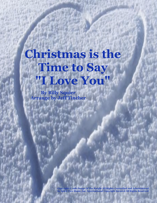 Book cover for Christmas Is The Time To Say I Love You