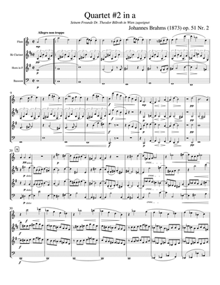 Book cover for Brahms String Quartet #2, op. 51