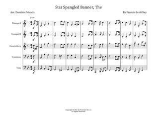 Book cover for Star Spangled Banner, The