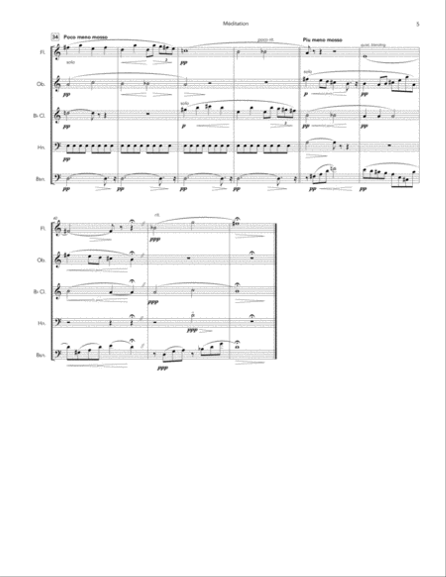Meditation for woodwind quintet Woodwind Quintet scores gallery preview page 5