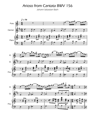 Arioso BWV 156 - Flute and Clarinet Duet w/ Piano