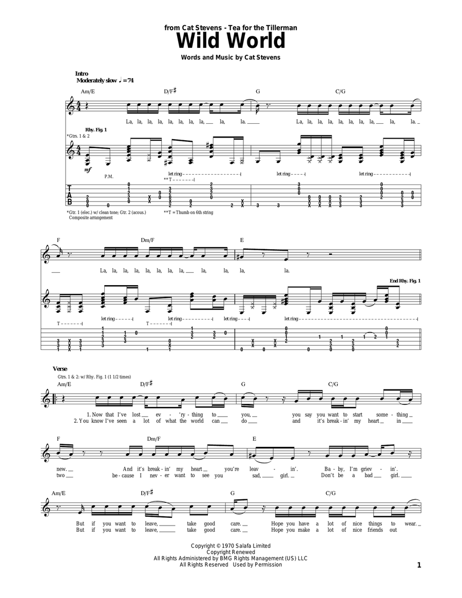 Wild World Wild World Acoustic Guitar scores gallery preview page 1