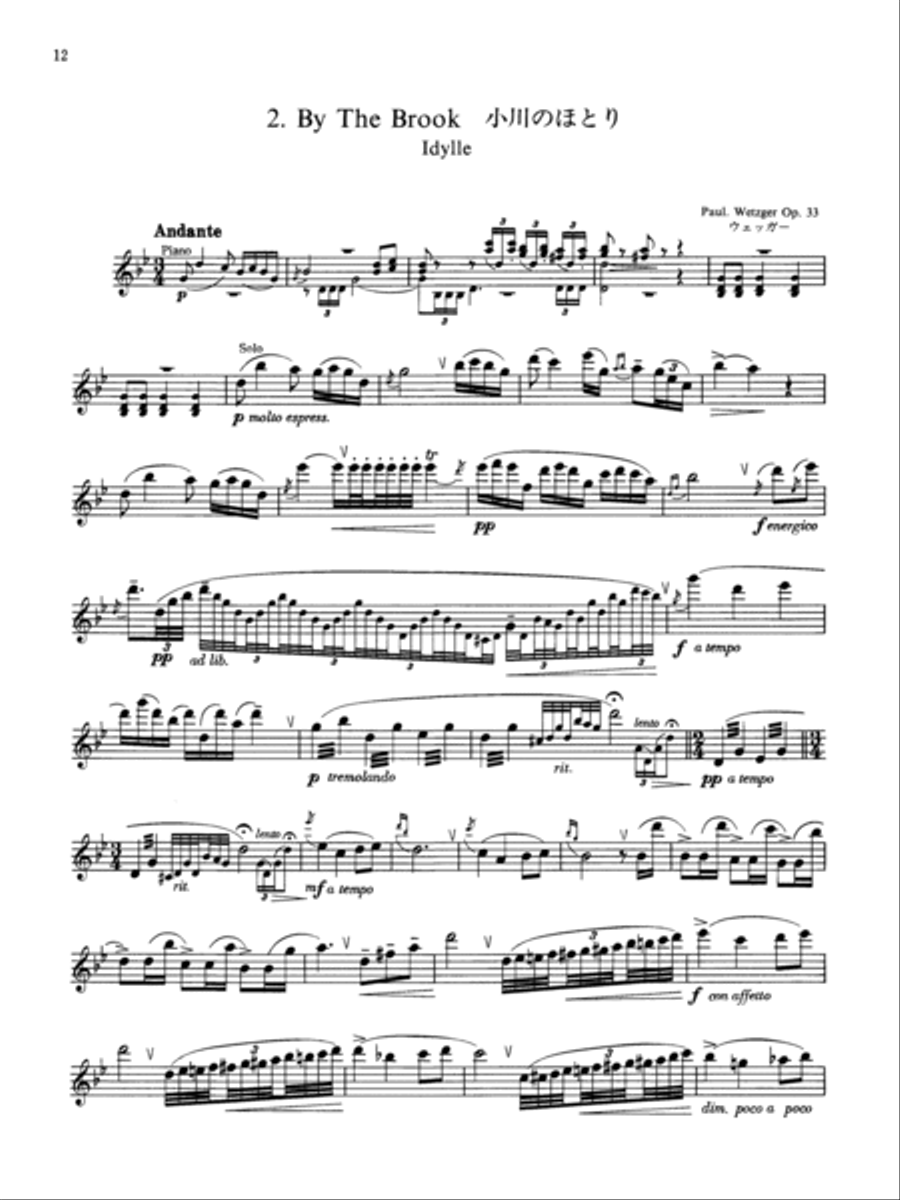 Suzuki flute deals
