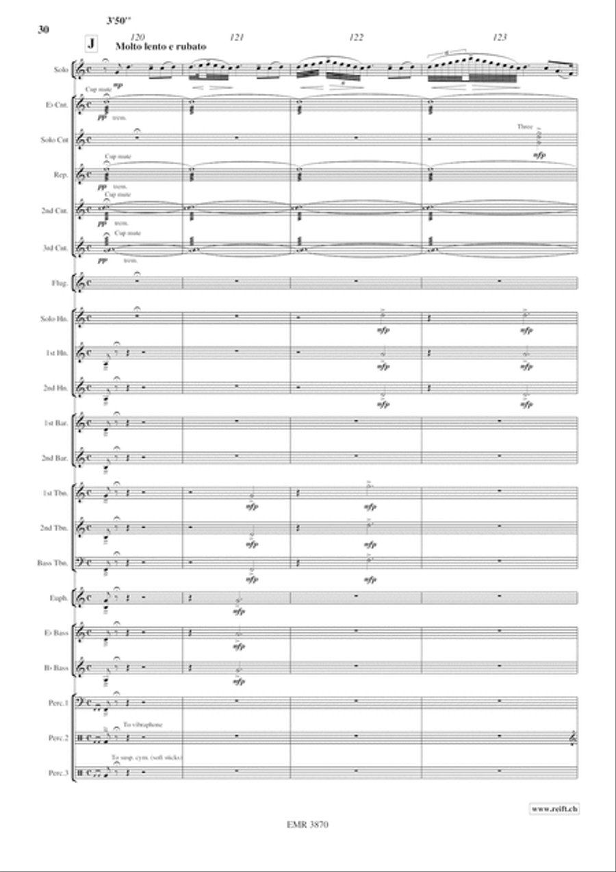 Adventure Quest Brass Band scores gallery preview page 30