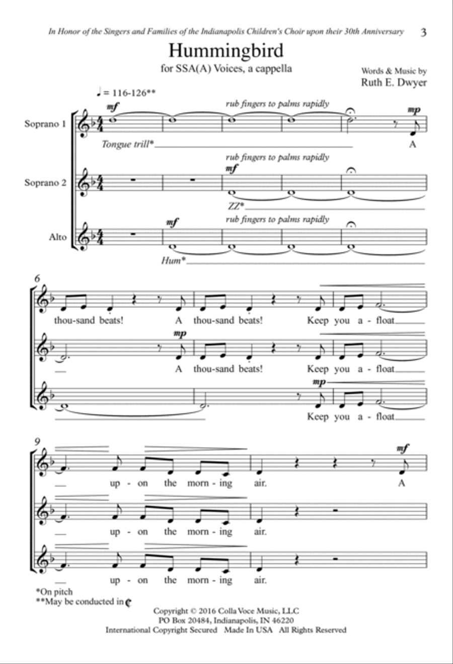 Hummingbird SSA scores gallery preview page 2