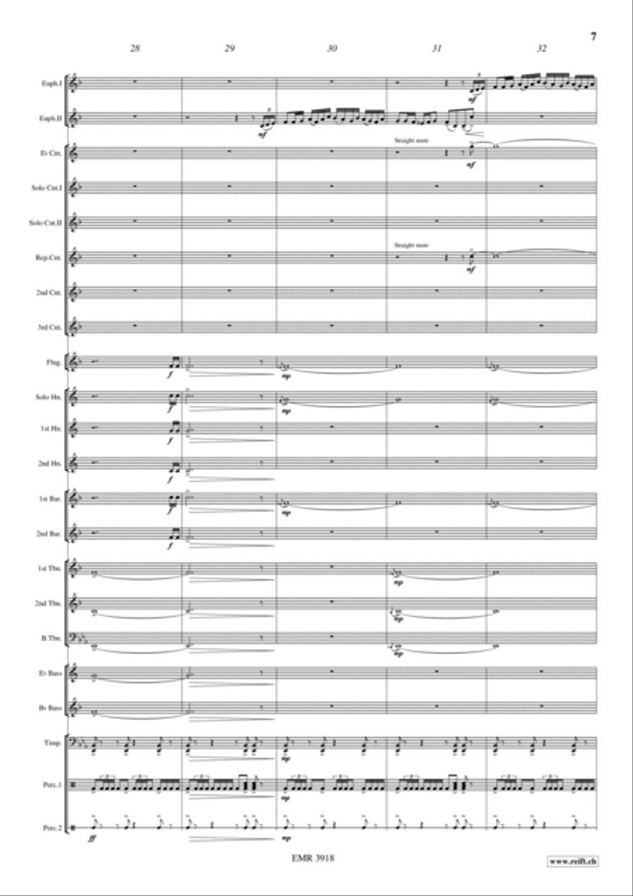 Celtic Folk Brass Band scores gallery preview page 7