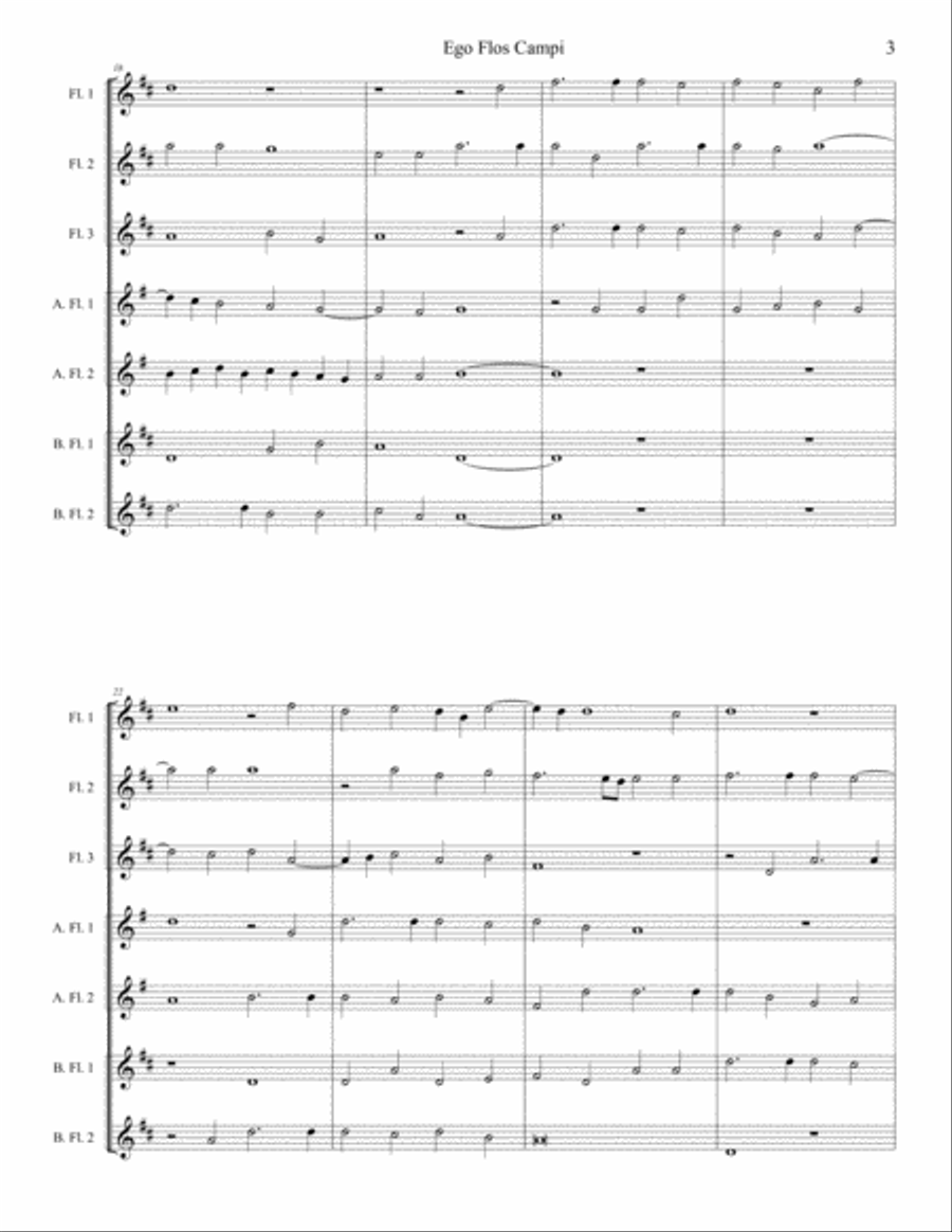 Ego Flos Campi Woodwind Ensemble scores gallery preview page 4