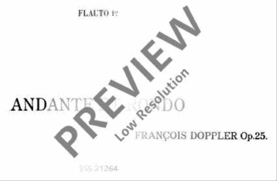 Andante et Rondo Andante et Rondo Flute Duet scores gallery preview page 17