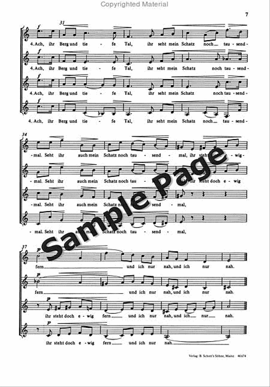 Ach Ihr Berg Und Tiefe Tal SSAA scores gallery preview page 8