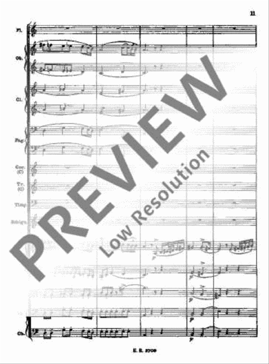 Preziosa Orchestra scores gallery preview page 14