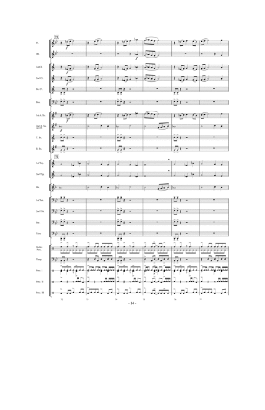 Stormy Seas Stormy Seas Concert Band scores gallery preview page 13