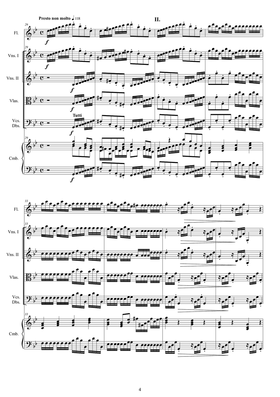 Vivaldi - Flute Concerto No.2 in G minor 'La Notte' Op.10 RV 439 for Flute, Strings and Cembalo Chamber Orchestra scores gallery preview page 4