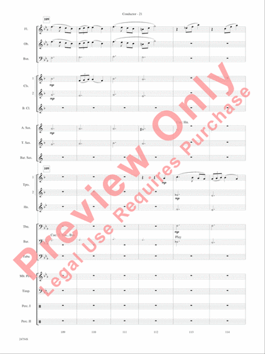 Selections from The Star Wars Saga Concert Band scores gallery preview page 24