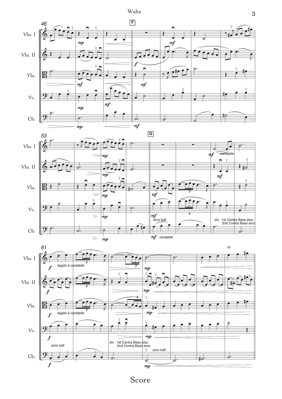 Waltz Unforgettable - for String Orchestra String Orchestra scores gallery preview page 3